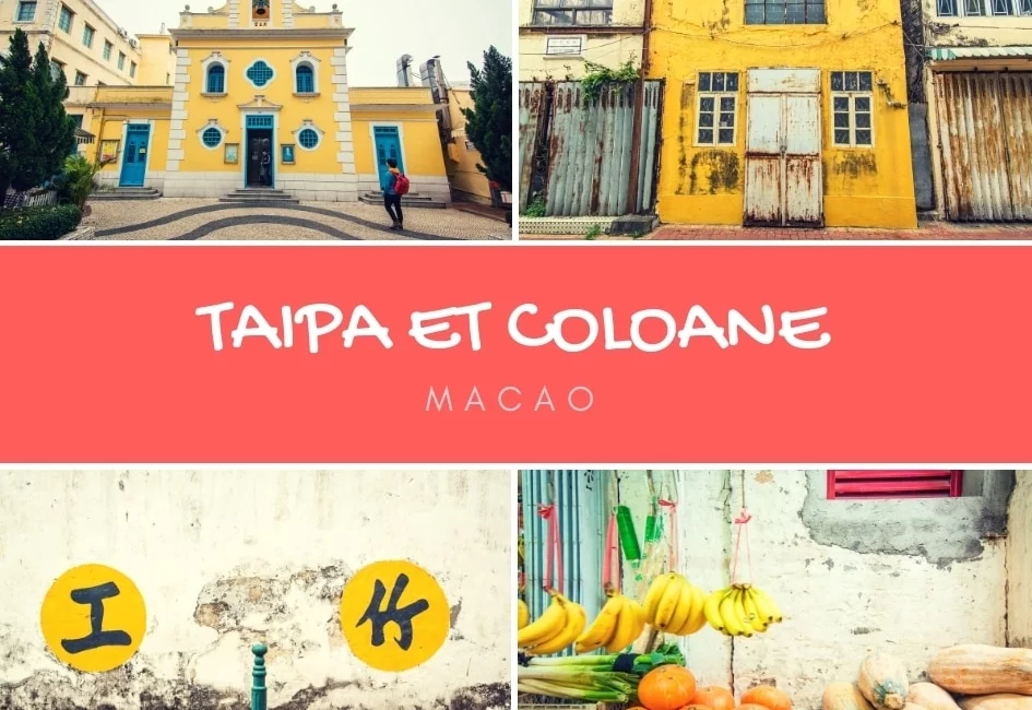 taipa and coloane cover