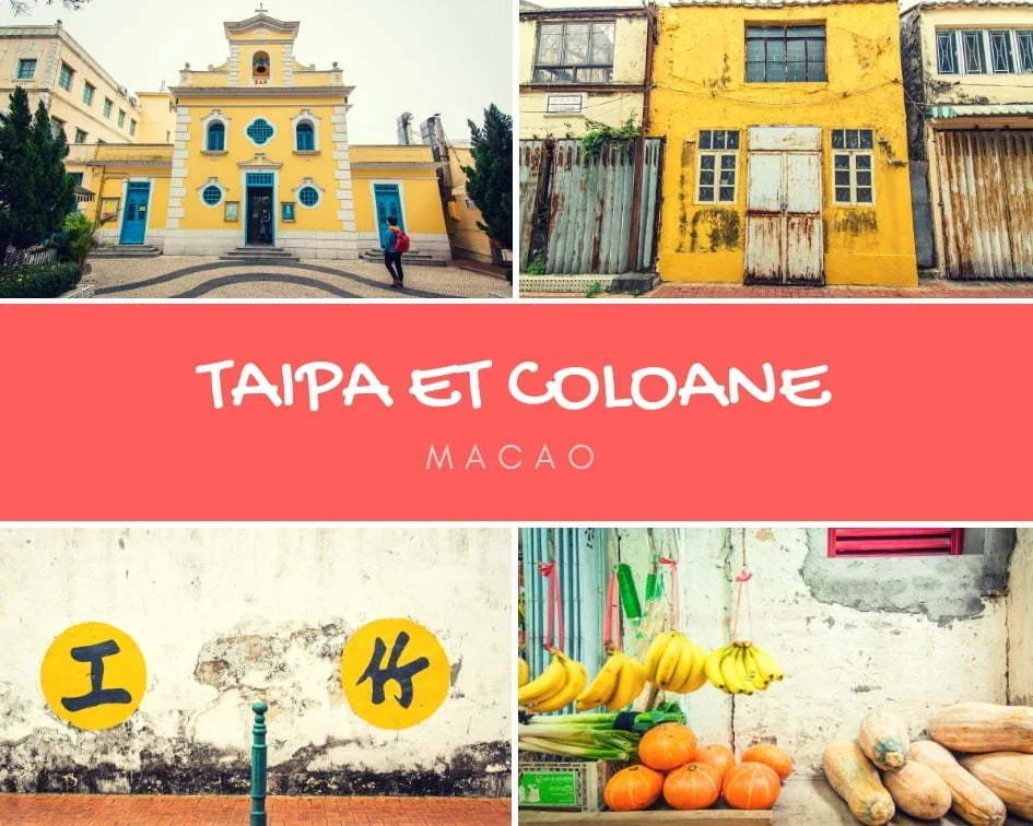 taipa and coloane cover