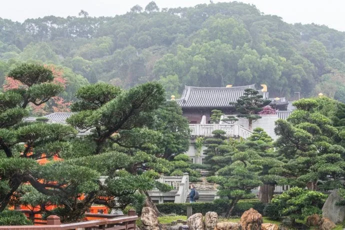 chi lin view from nan lian gardens - hong kong