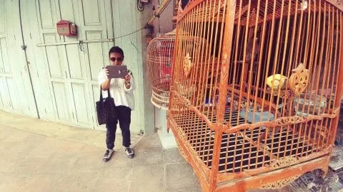 bird cages city trang - thailand