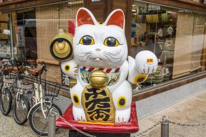 lucky cat amanoshidate japan