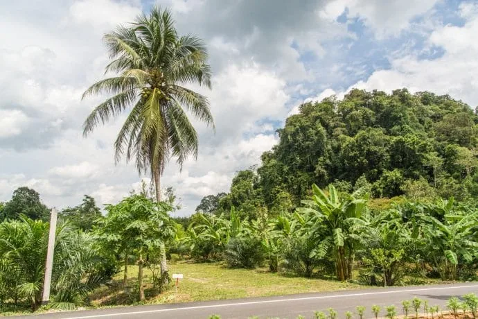 hill cave khao kob trang