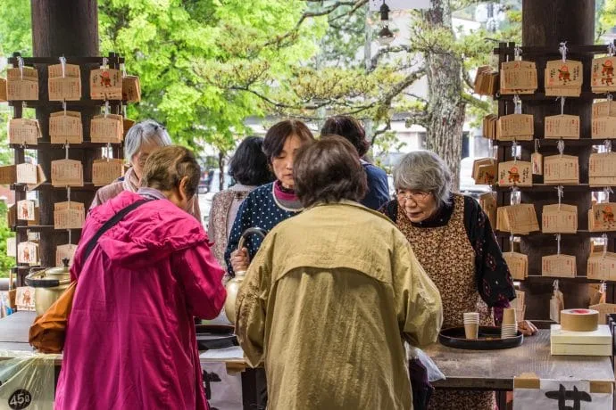 tasting the temple chionji amanohashidate japan