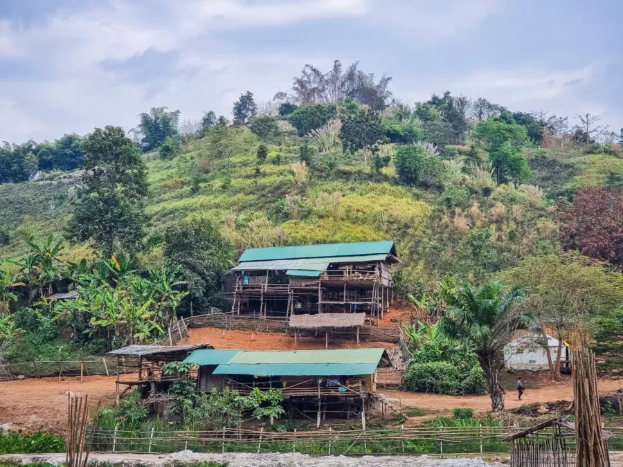 elephant steps farm chiang rai