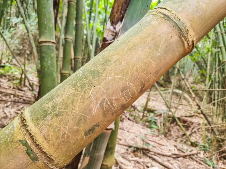 bamboo engraving elephant steps chiang rai