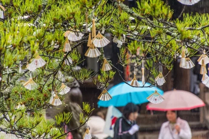 rainy day chionji temple amanohashidate japan