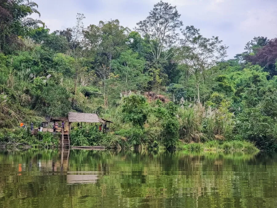 break at the edge of the pond, elephant steps day, Chiang Rai