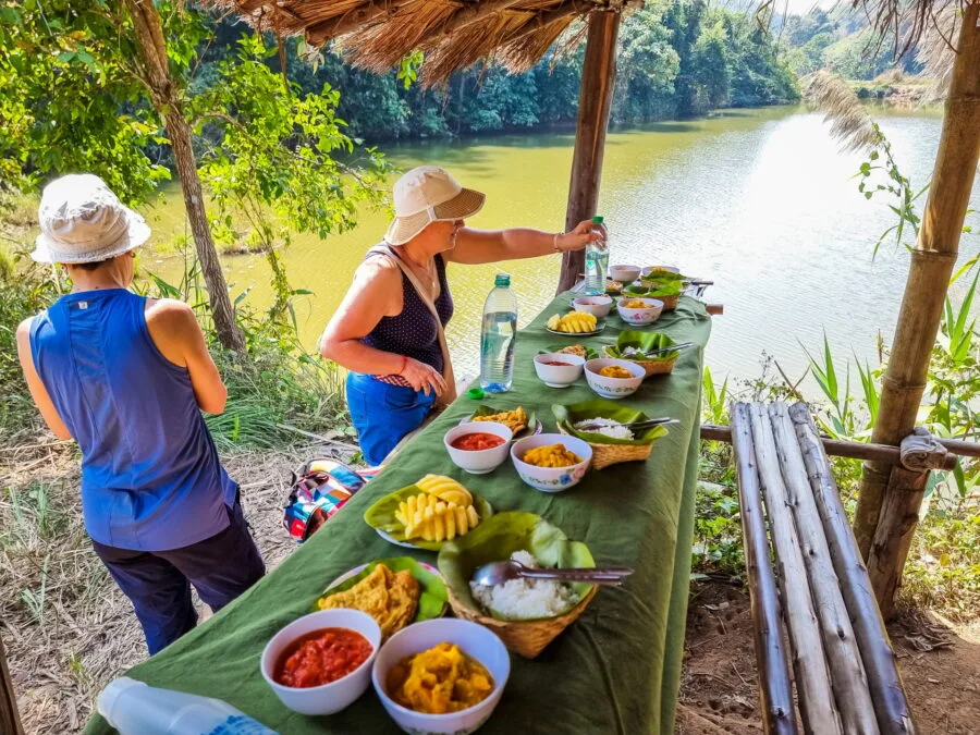 lunch break day elephant steps chiang rai