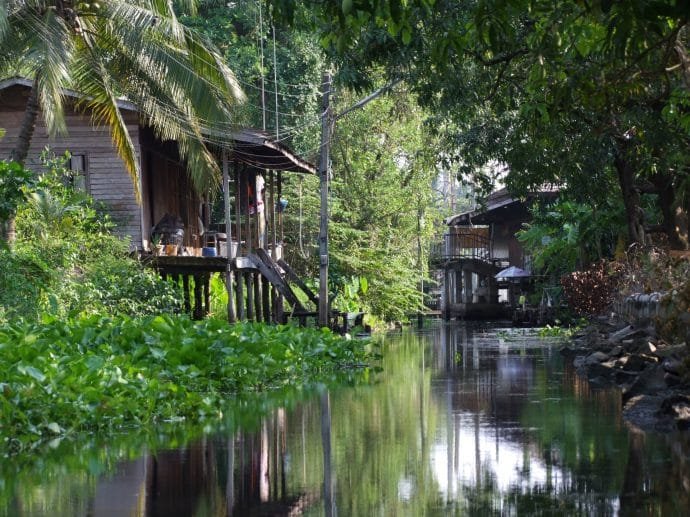 paysage canal autour damnoen saduak 2010