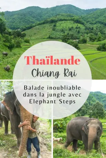 pinterest visit elephant steps chiang rai thailand pinterest visit elephant steps chiang rai thailand