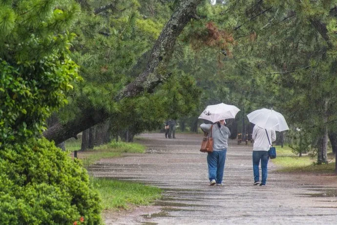 walkers in the rain amanoshidate japan