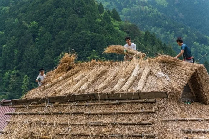 replacement thatched roof village kayabuki-no-sato - japan