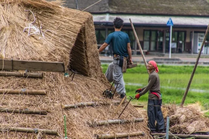 thatched roof renewal in Kayabuki-no-Sato village - Japan