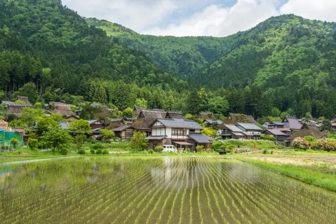 rice fields village miyama kayabuki-no-sato - japan