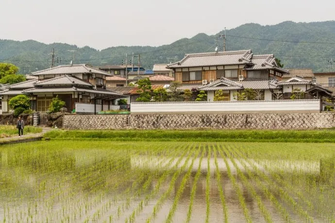 bike ride reflection rice field house wazuka - kyoto prefecture japan