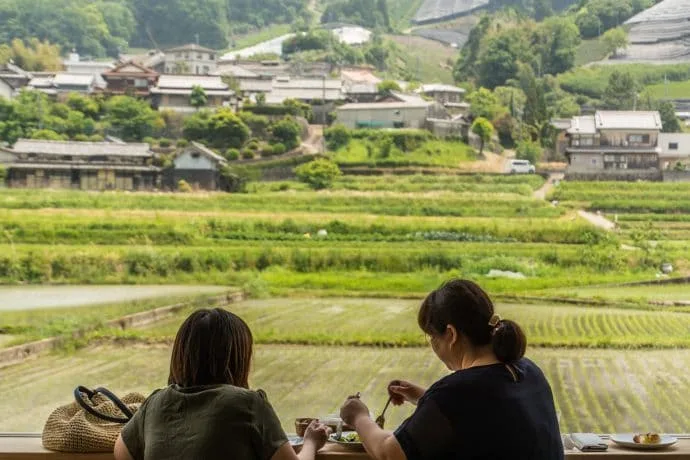d matcha cafe wazuka - kyoto prefecture japan