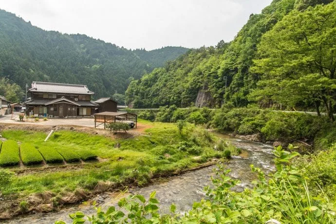 wazuka mountain descent - kyoto prefecture japan