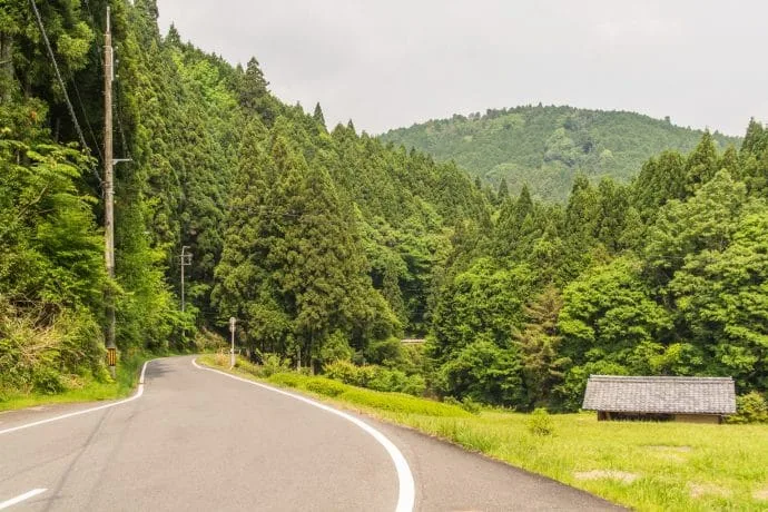 wazuka mountain downhill road - kyoto prefecture japan