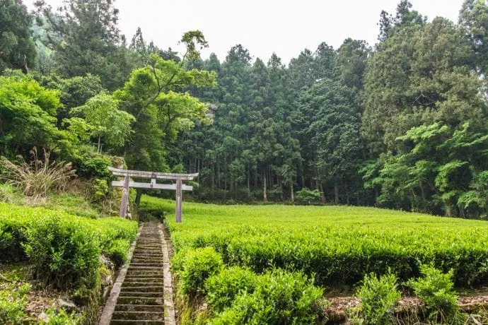 shinto descent mountain wazuka - kyoto prefecture japan