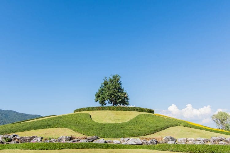 butte royal park rajapruek - chiang mai