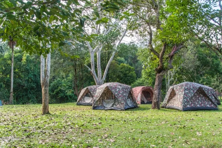 camping khao yai national park - thailand