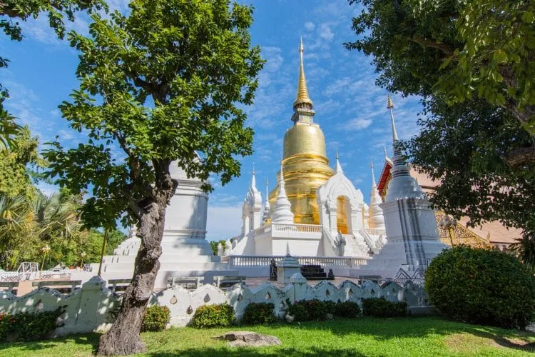 chedi wat suan dok - chiang mai