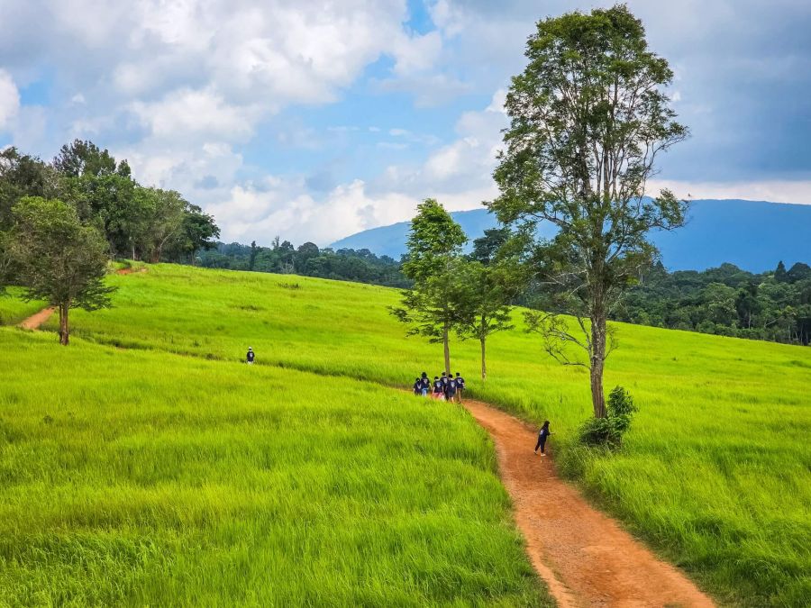 chemin de Nong Pak Chi vue depuis tour observation Khao Yai - Thailande chemin de nong pak chi vue depuis tour observation khao yai thailande