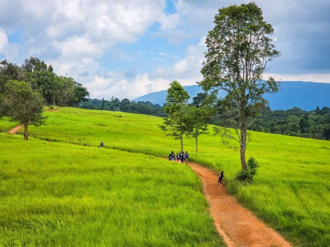 chemin de nong pak chi vue depuis tour observation khao yai thailande