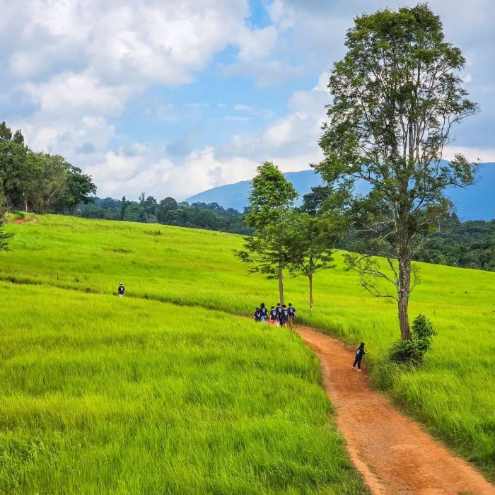 Parc national de Khao Yai : sur les traces des éléphants sauvages