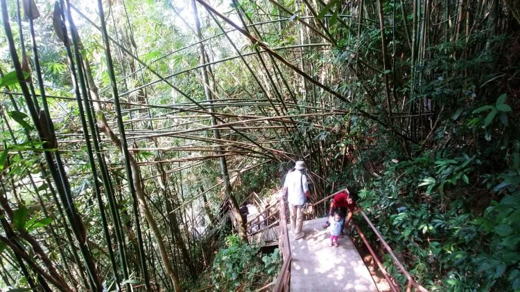 haew narok waterfall khao yai stairs - thailand