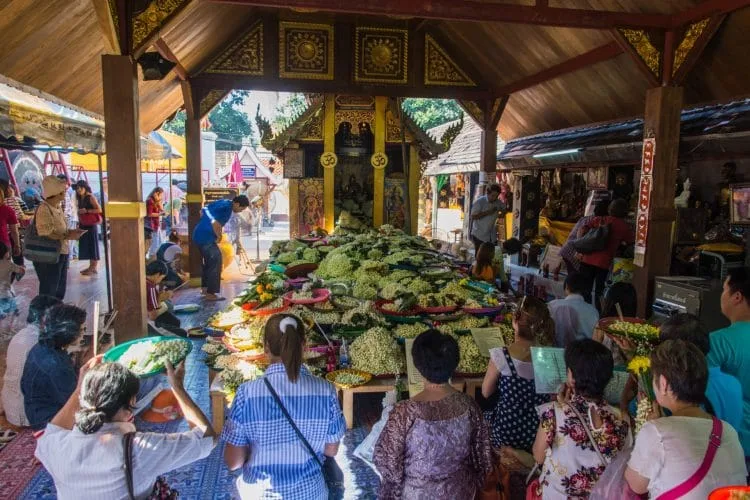 flowers wat phra that doi kham - chiang mai