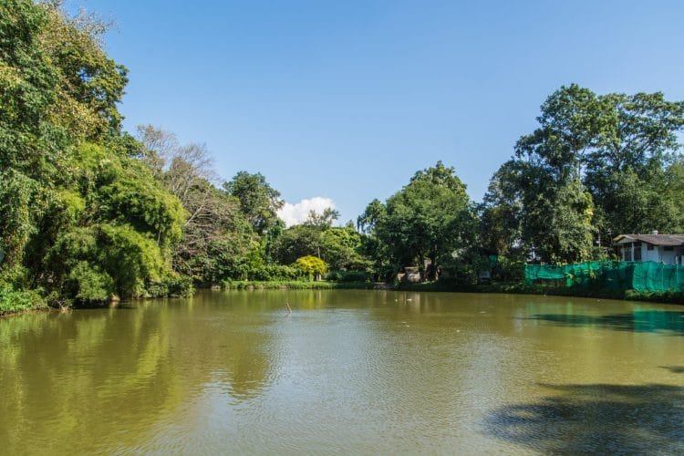 lac wat umong - chiang mai