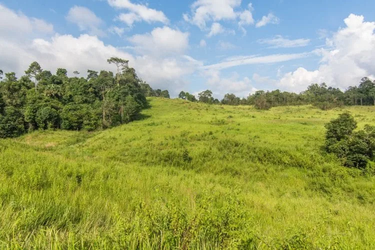 mo sing - khao yai national park - thailand