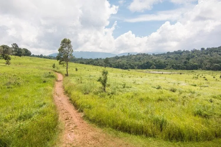khao yai mountain rainy season - thailand