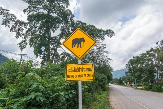attention elephant sign khao yai national park - thailand