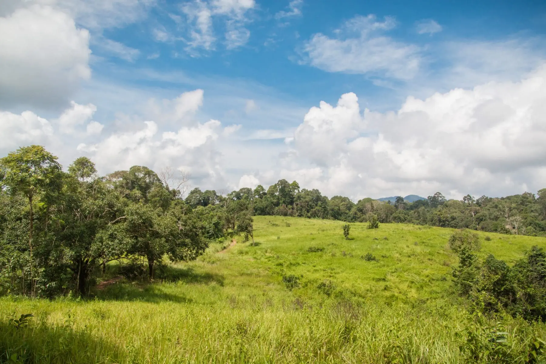 khao yai national park - thailand
