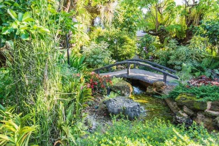 little royal bridge park rajapruek - chiang mai