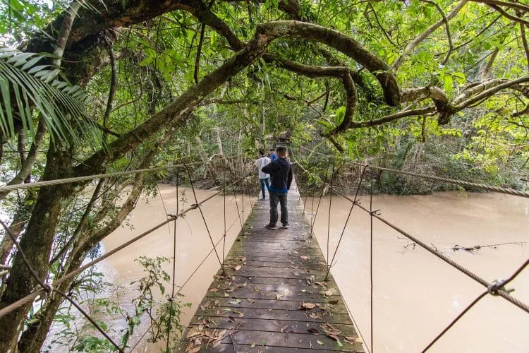 suspension bridge walk visitor center khao yai national park - thailand