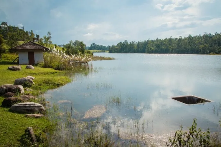 sai sorn reservoir khao yai national park - thailand