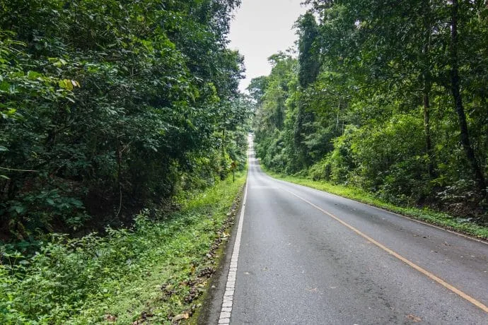 road through khao yai national park - thailand