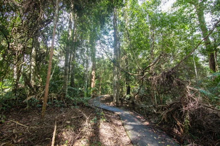 visitor center trail khao yai national park - thailand