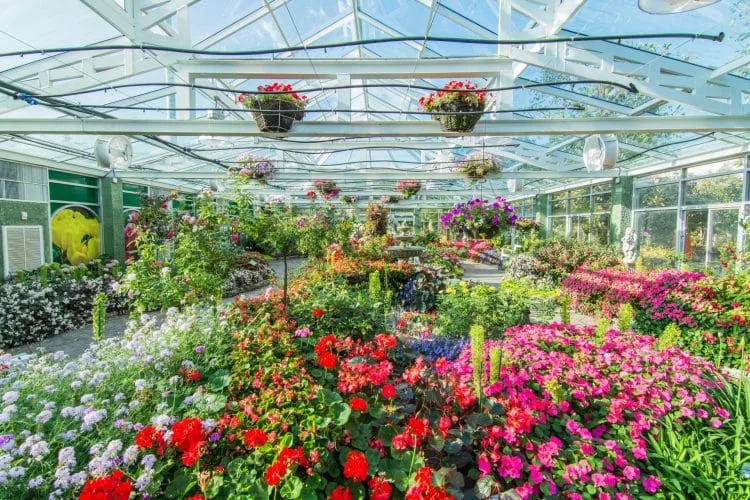 greenhouse royal park rajapruek - chiang mai