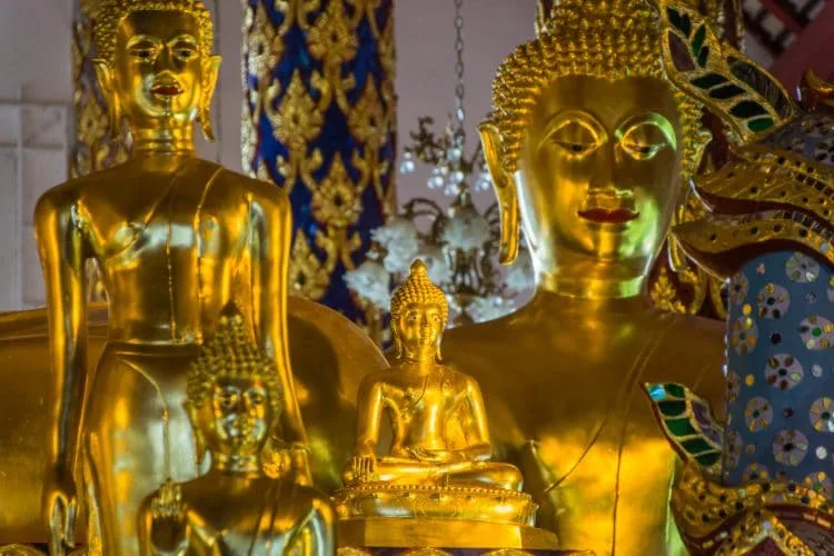 golden buddha statues wat suan dok - chiang mai