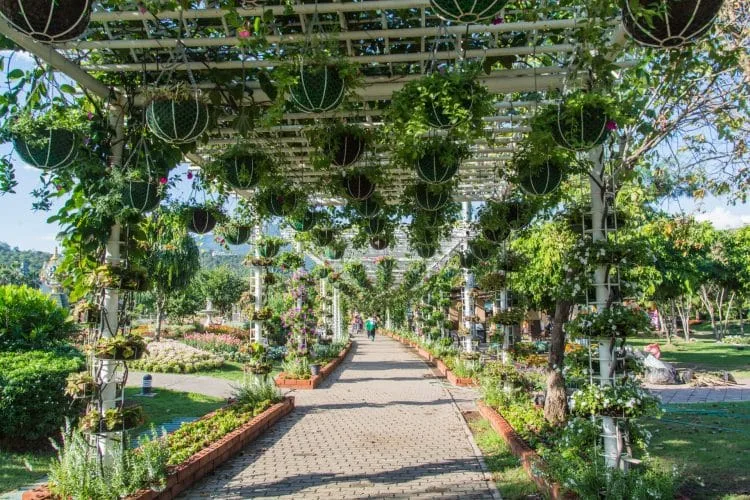 flowered roof royal park rajapruek - chiang mai