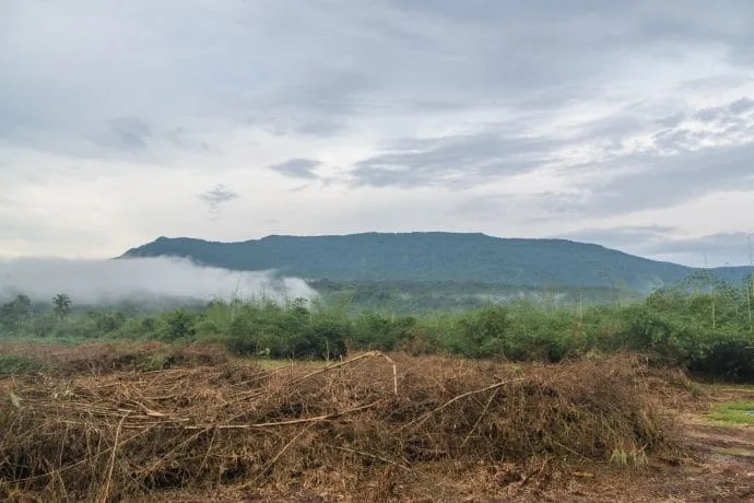 south view mountain khao yai national park - thailand