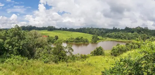 nong phak chi tower view - khao yai national park - thailand