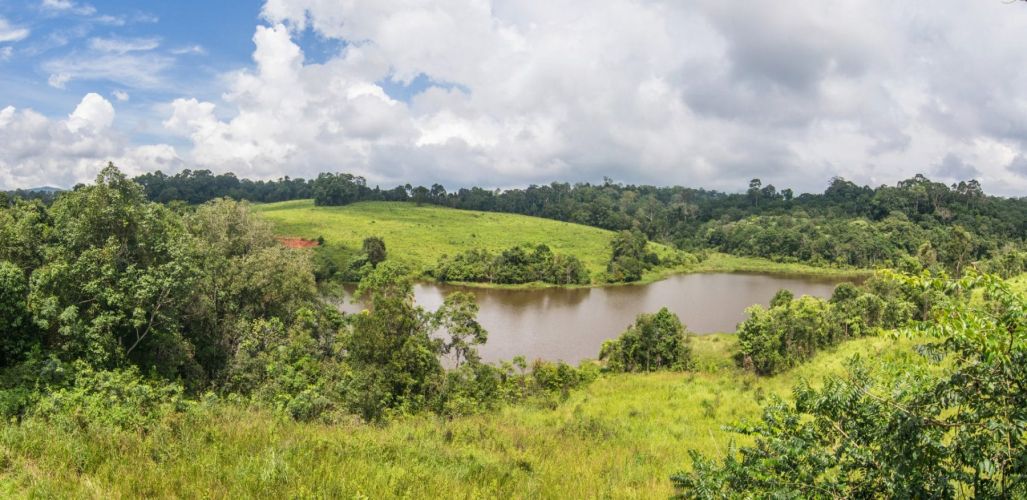 nong phak chi tower view - khao yai national park - thailand