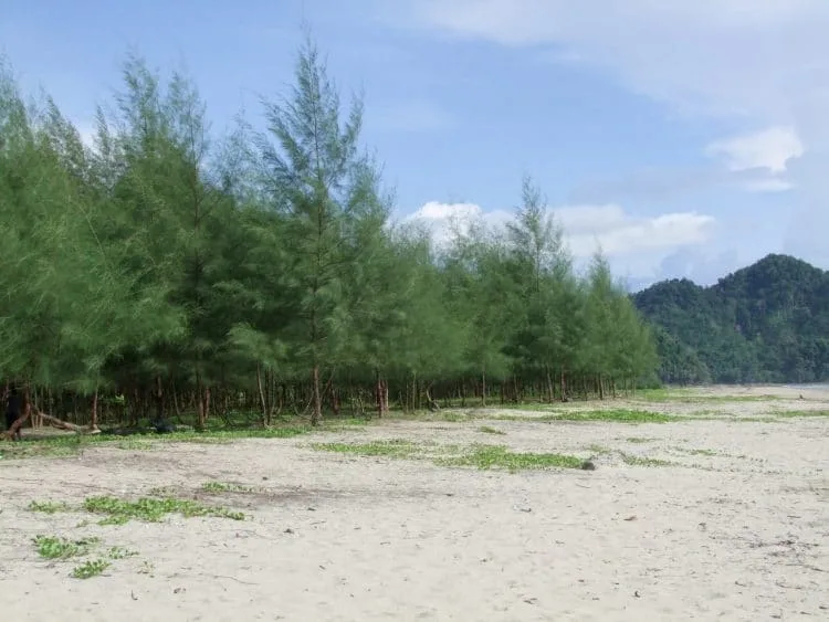 bang ben beach - ranong - thailand