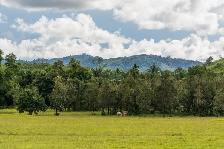surroundings phu khao ya - ranong - thailand