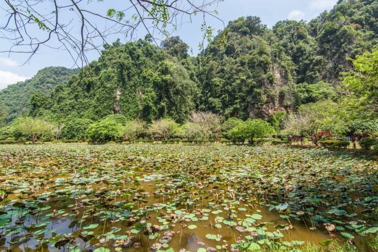 jardin kek lok tong ipoh - malaisie